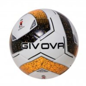 Ballon de foot Givova Academy School PAL026